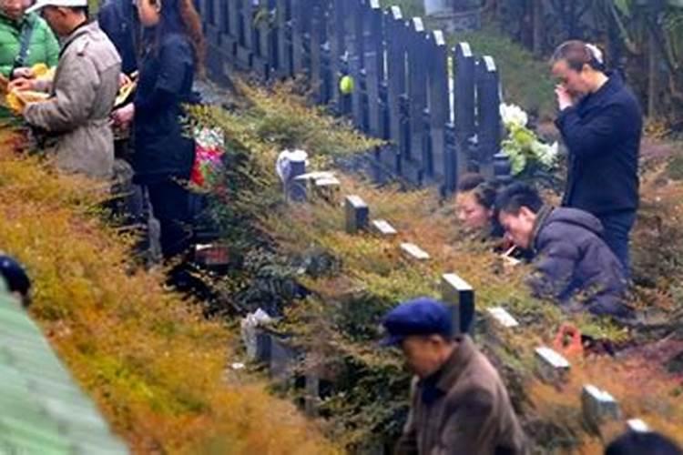 清明节回不去上坟怎么办