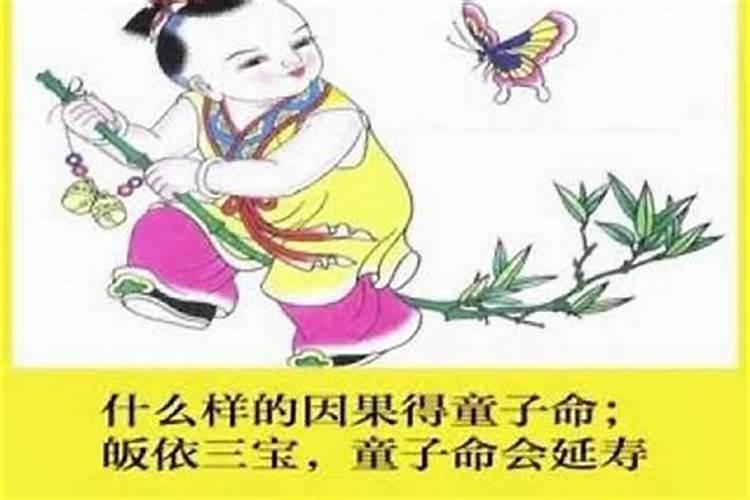 91年的羊2025年运势