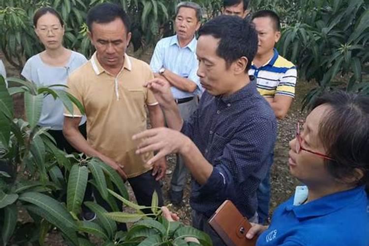 中国科学院因近千万的续订费用停用知网,这对知网会有什么影响？