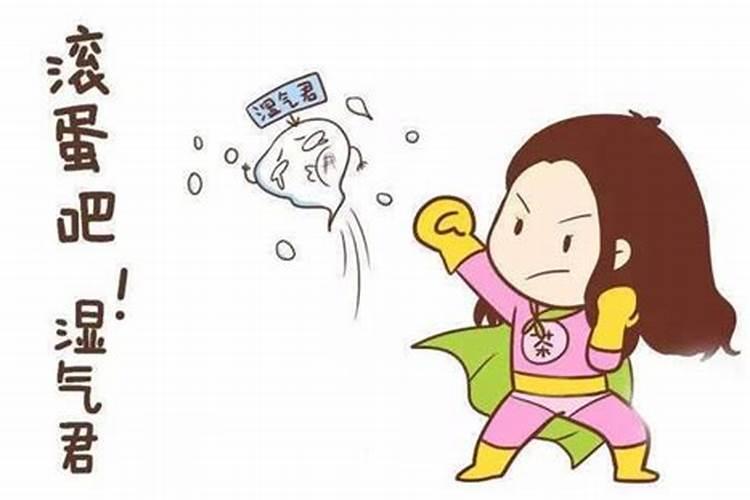 属猪人2024龙年感情运势如何