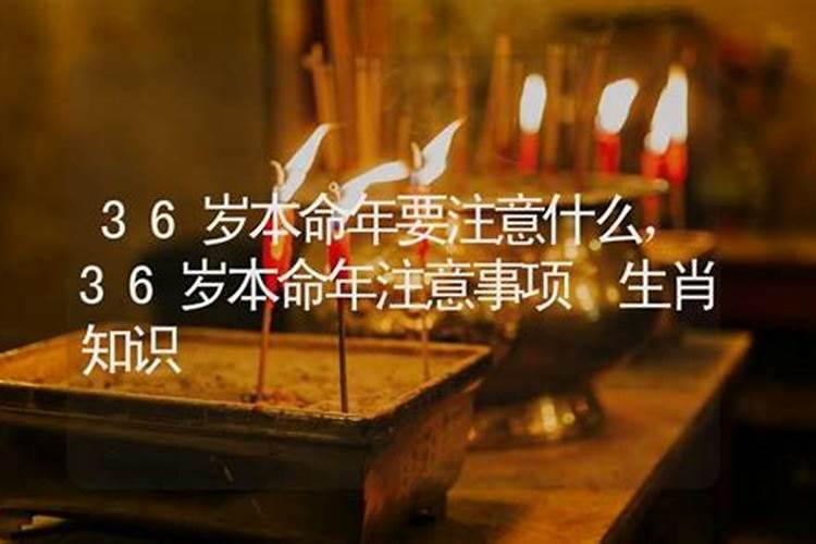 属兔人2025年如何转运？
