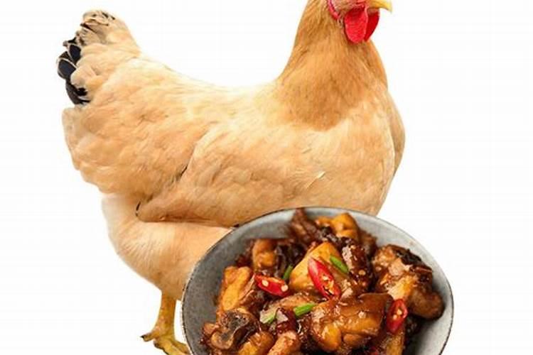 奇门遁甲改终身命盘管用吗？