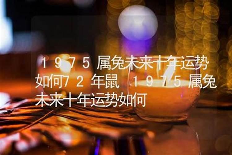 1975年的兔2025年运势