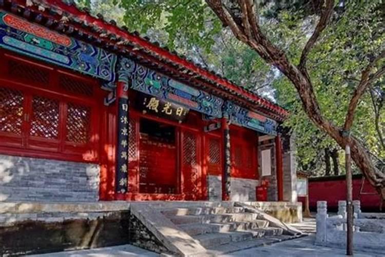 兔年本命年都注意什么