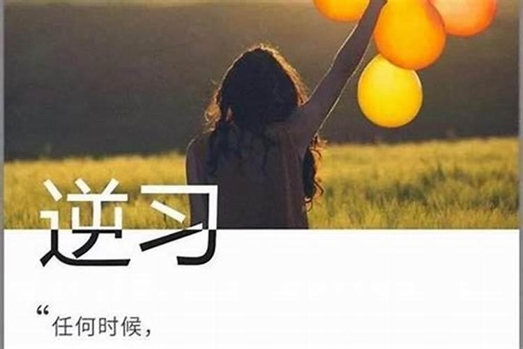 属猪和属蛇生什么属相孩子好