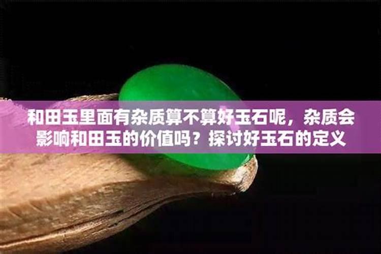 属狗女人最佳丈夫