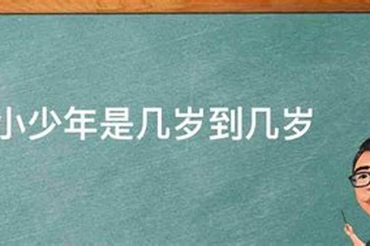 2025春节晚会节目单表