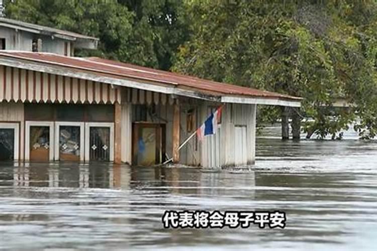 74年虎2025年的运势