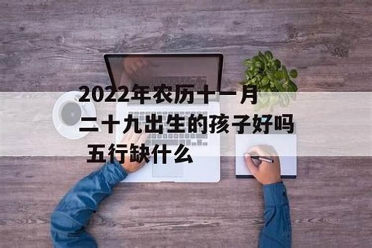 命理解析 农历十一月十二出生是什么命 哪个时辰出生好？