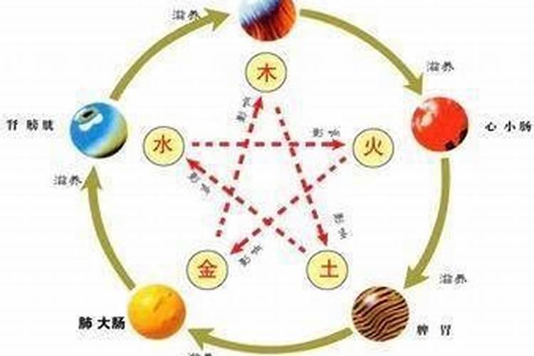 元亨利贞网四柱八字排盘软件使用方法