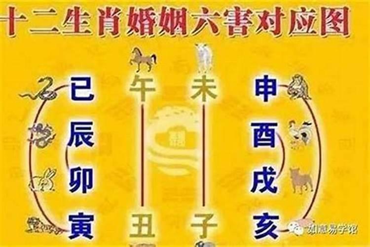 梦见龙在水里游什么意思