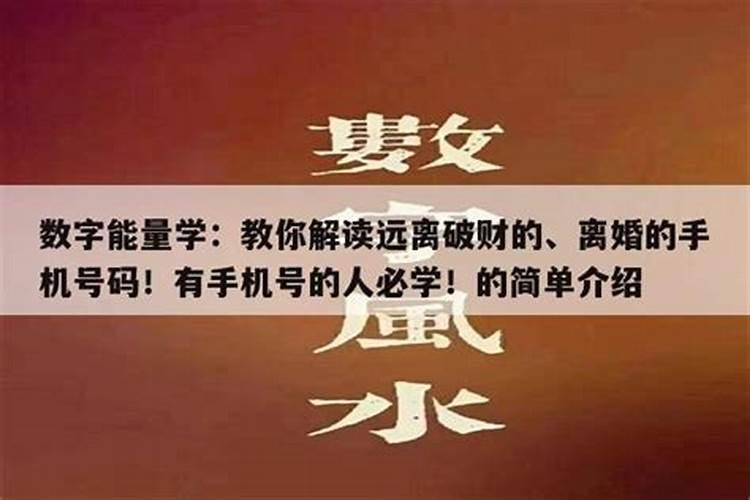 离婚破财的生肖,桃花劫缠身,一生坎坷不如意