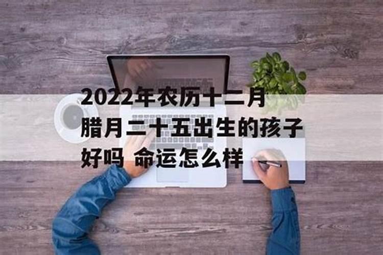 87年属兔腊月出生的命运 性格特征是怎么样？