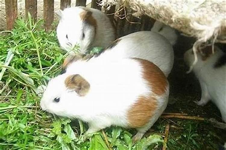 农历七月十五是什么节？有什么讲究？