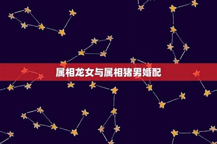 属龙男和属猪女的适合做夫妻吗 龙猪合不合财