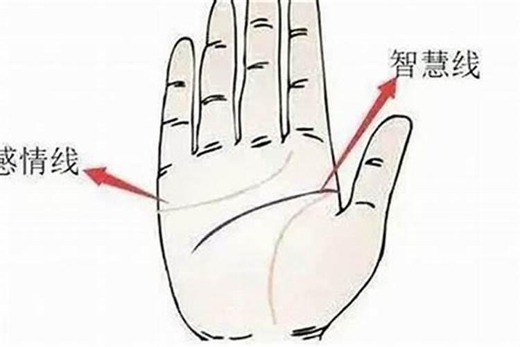 农历7月属相什么生肖 农历七月出生命运分析