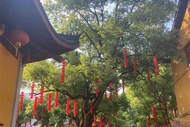 没有到庙上返童子前是不是不要向别人讲？