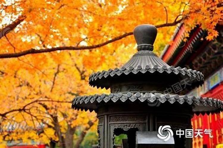 学八字看什么书入门