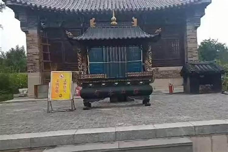 童子命什么意思