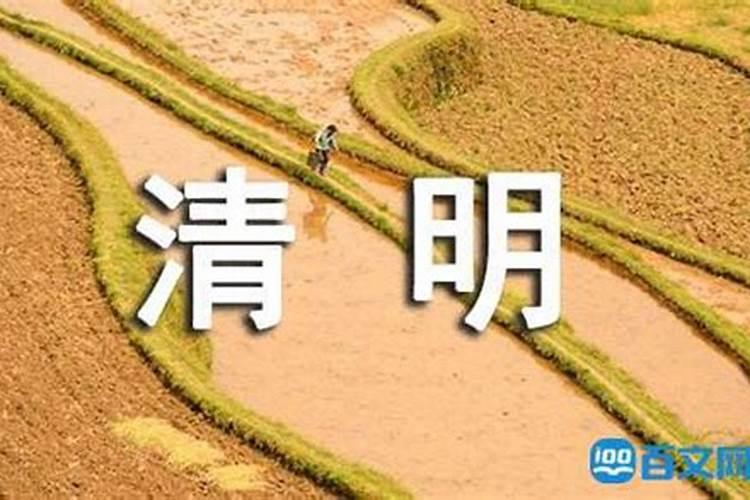 清明节去哪玩好