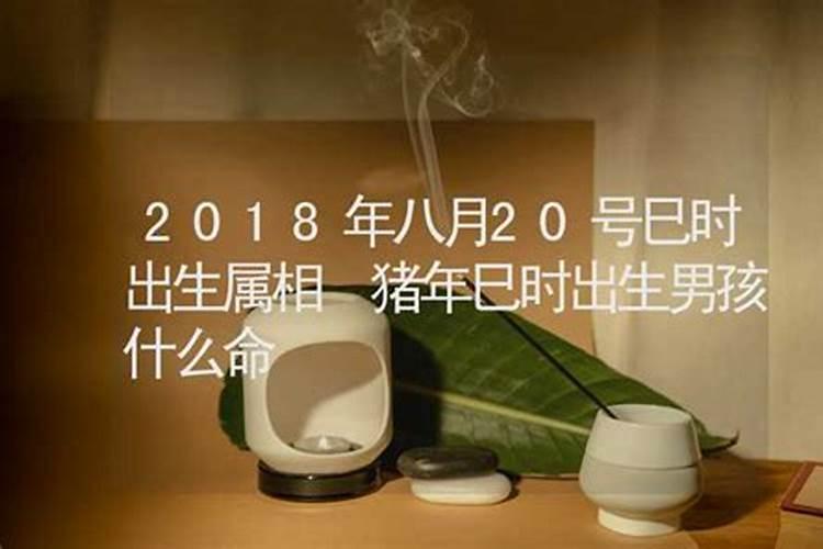 9月9日指农历的几月几日？
