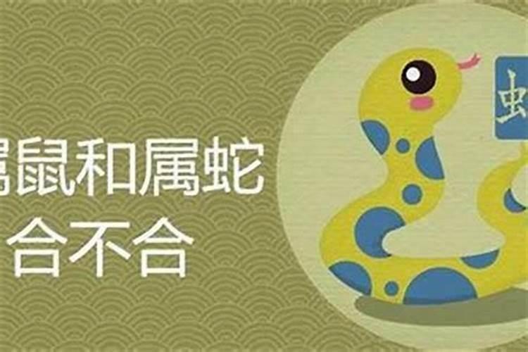 1979属羊女人一生命运如何