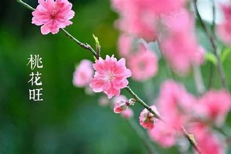 男人催桃花运的9种方法