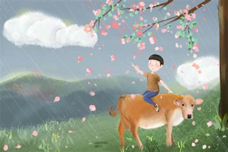 清明节出生的人命好不好,为什么叫天胎