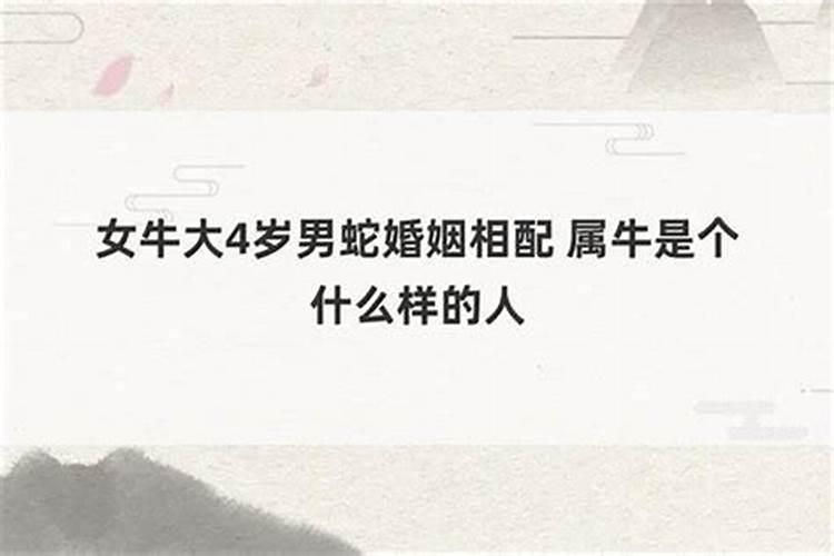 男牛大4岁女蛇婚姻好不好 上天赏赐的缘分婚配契合？