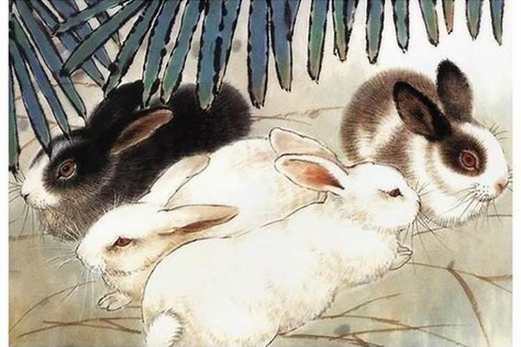属虎人2025全年运势详解 属虎人2025年每月运势