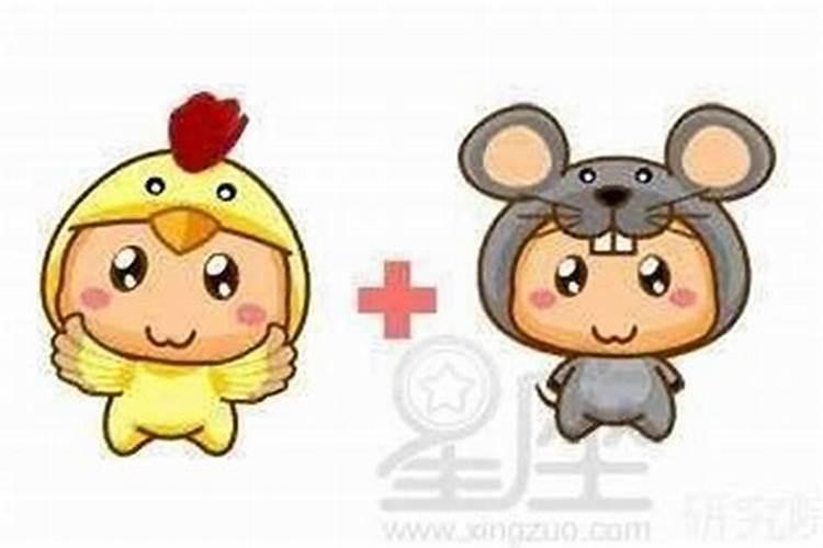 2025属牛人每月运势及运程如何