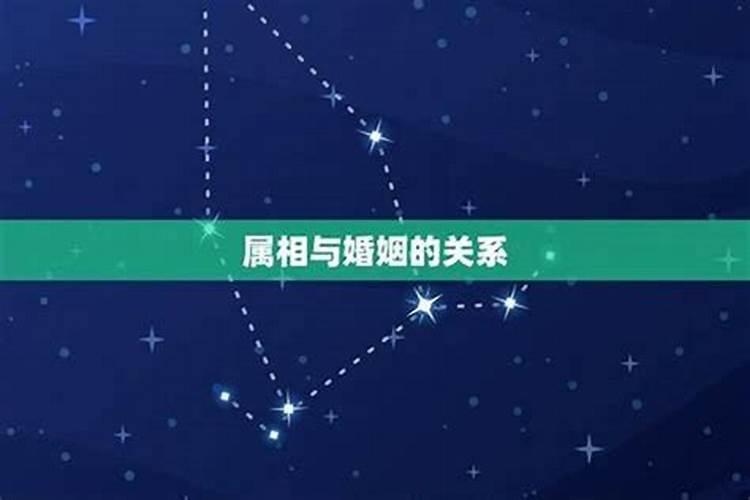 八字合婚里的属相婚配有科学依据吗