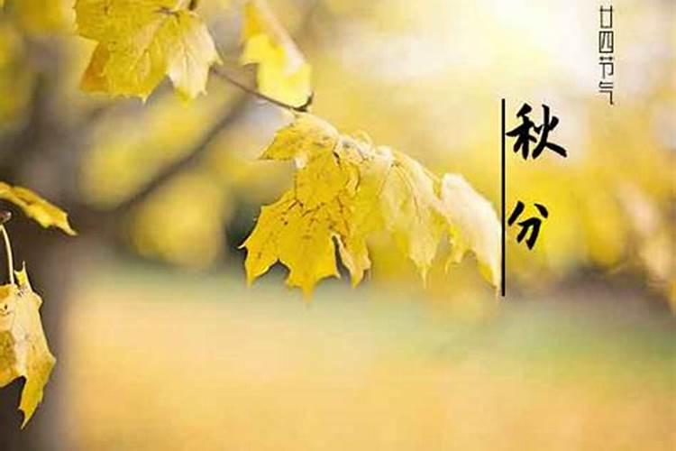 1931年属什么生肖属相,1931年生日的人熟什么生肖