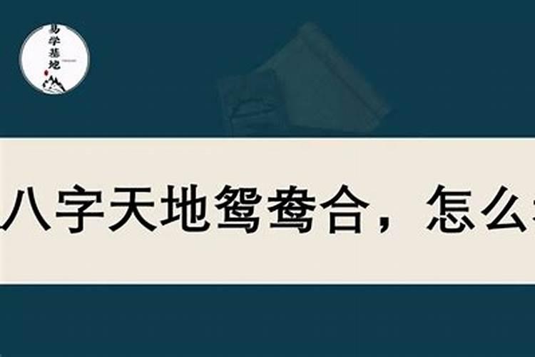 天地鸳鸯合