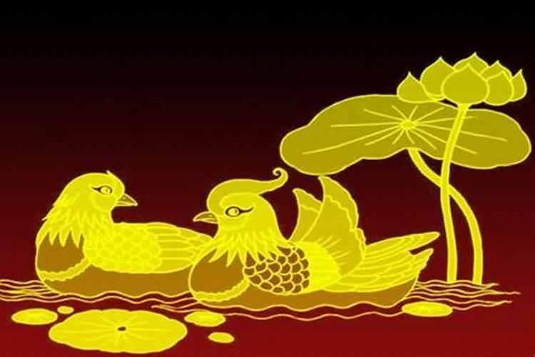 什么是天地鸳鸯合