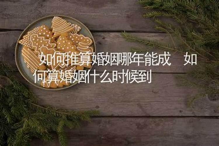 1990年属马2025年运势如何
