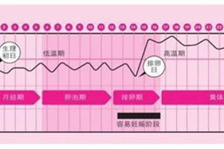 15来的月经几号排卵期,月经干净后几天开始打促排卵针