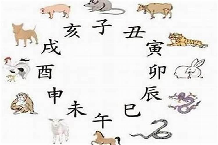 历史上属兔和属蛇的模范夫妻 婚姻不顺怎么解