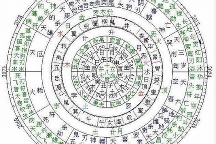 1970年属狗男士(55岁)2025年运势透视,看看每个月的好运