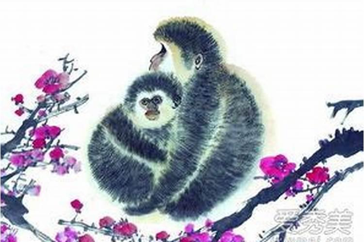2025年犯太岁属相是哪五个