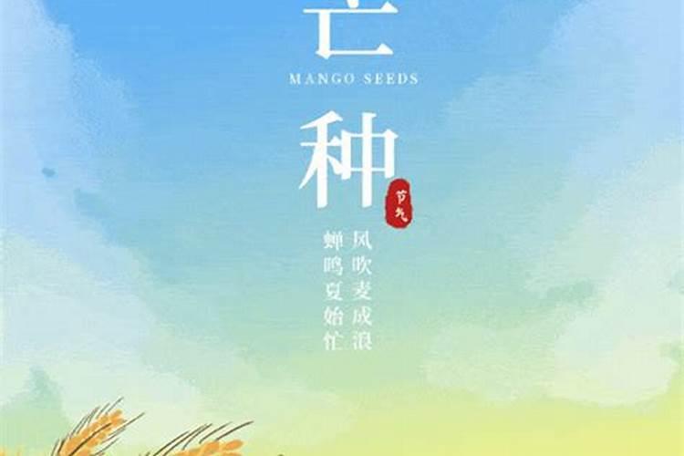 2025年92年属猴女的运势