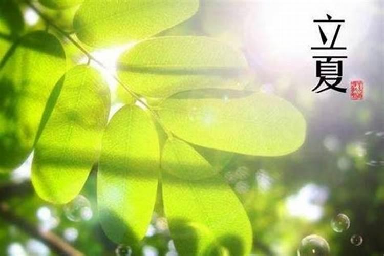 古文:“何谓君子？何谓小人？德大于才便是君子,才大于德便是小人。”的...