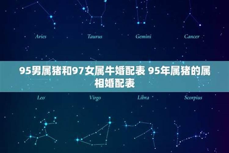 属猪和属牛的婚姻如何95男属猪和97女属牛合不合
