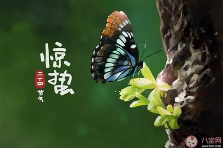 五台山现任方丈哪位？法号是什么呢？