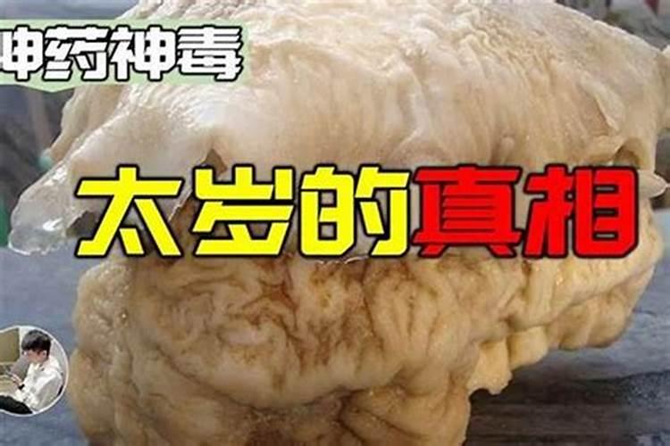 中秋节的传统风俗是什么