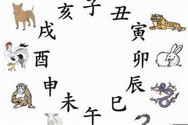 2025属龙人躲不过去的大难 2025属龙全年运势