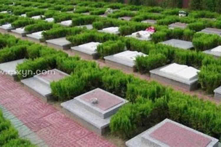 犯太岁可以拜神吗