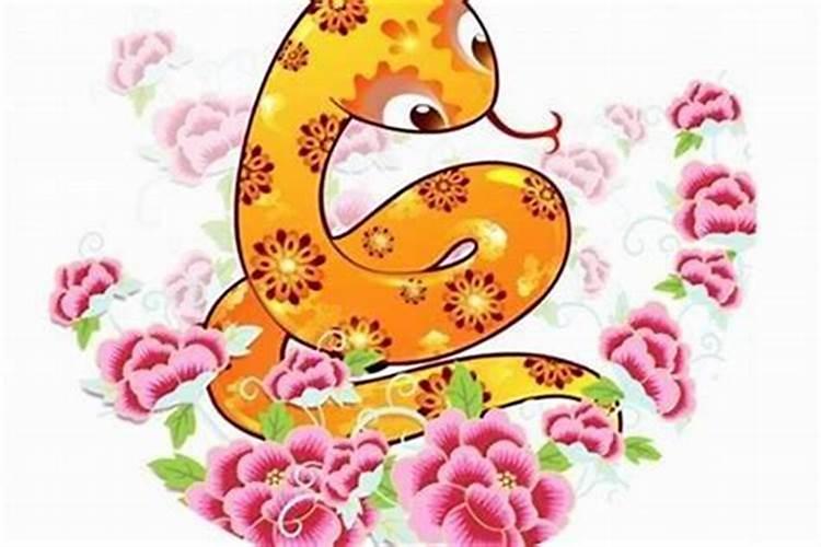 怎么查自己属于什么命