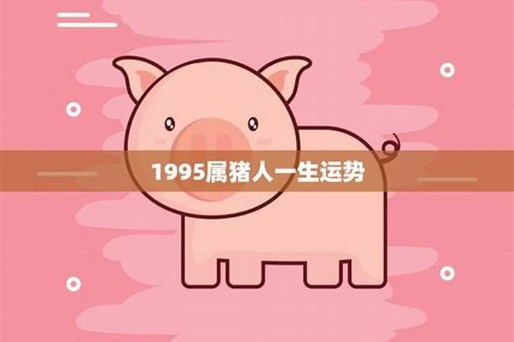 95年属猪女人终身的命运婚姻是怎样样的？