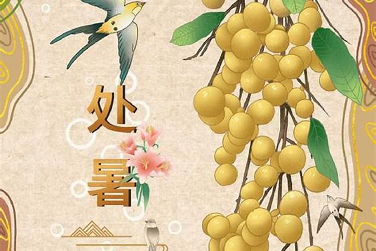 属羊最佳婚配前十名属相